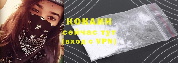 прущая мука Дмитриев
