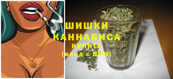 прущая мука Дмитриев