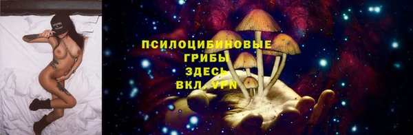mdpv Дмитров