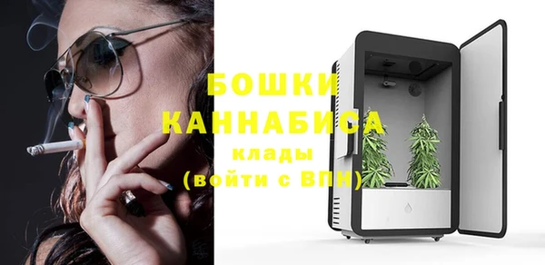 прущая мука Дмитриев