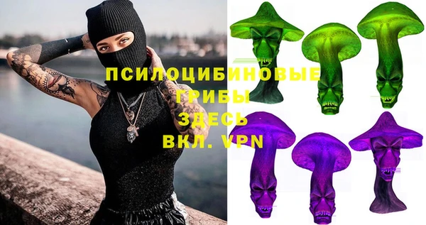 mdpv Дмитров