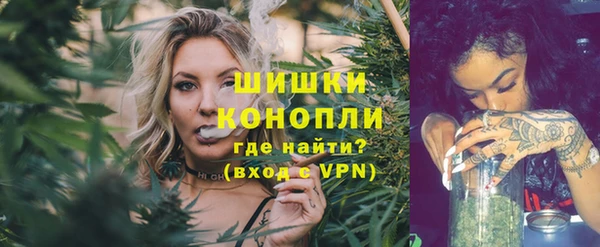 прущая мука Дмитриев