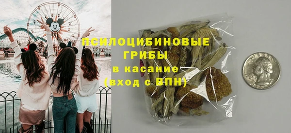 мдма Гусев