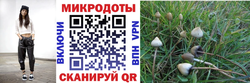 Псилоцибиновые грибы MAGIC MUSHROOMS  Задонск 